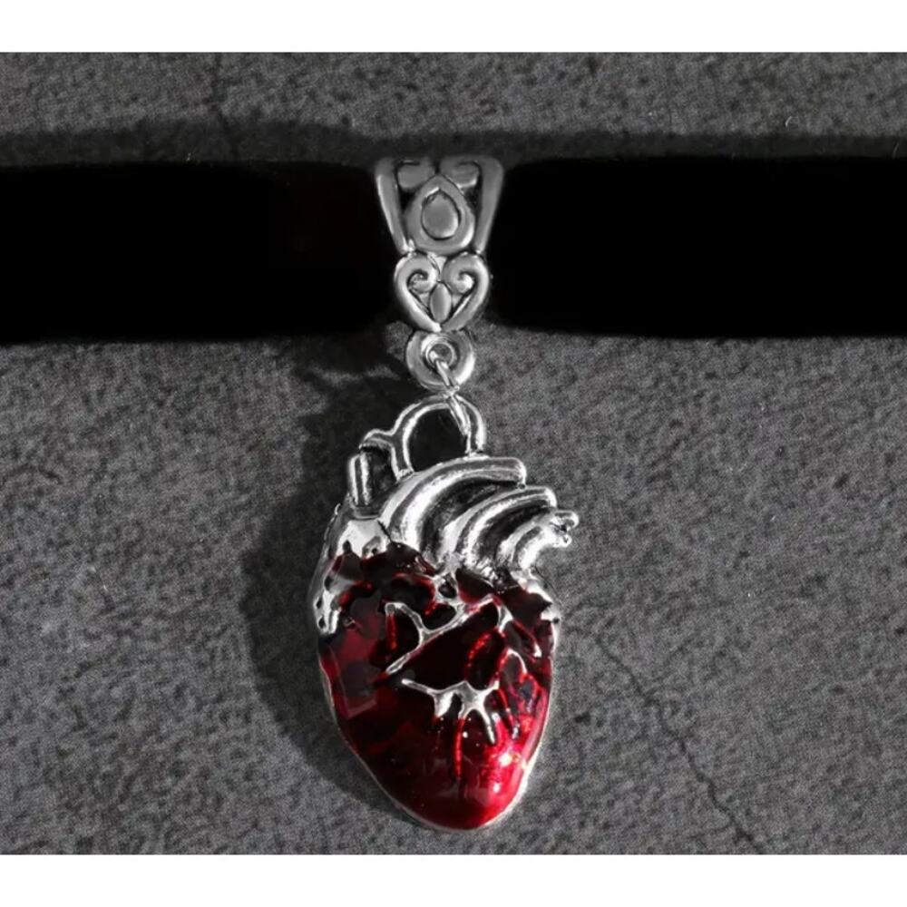 Anatomical Heart Choker Velvet Adjustable Whimsy Goth Victorian Dark Academia